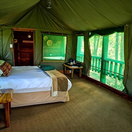Fernhill Tented Treehouses Rheenendal Экстерьер фото