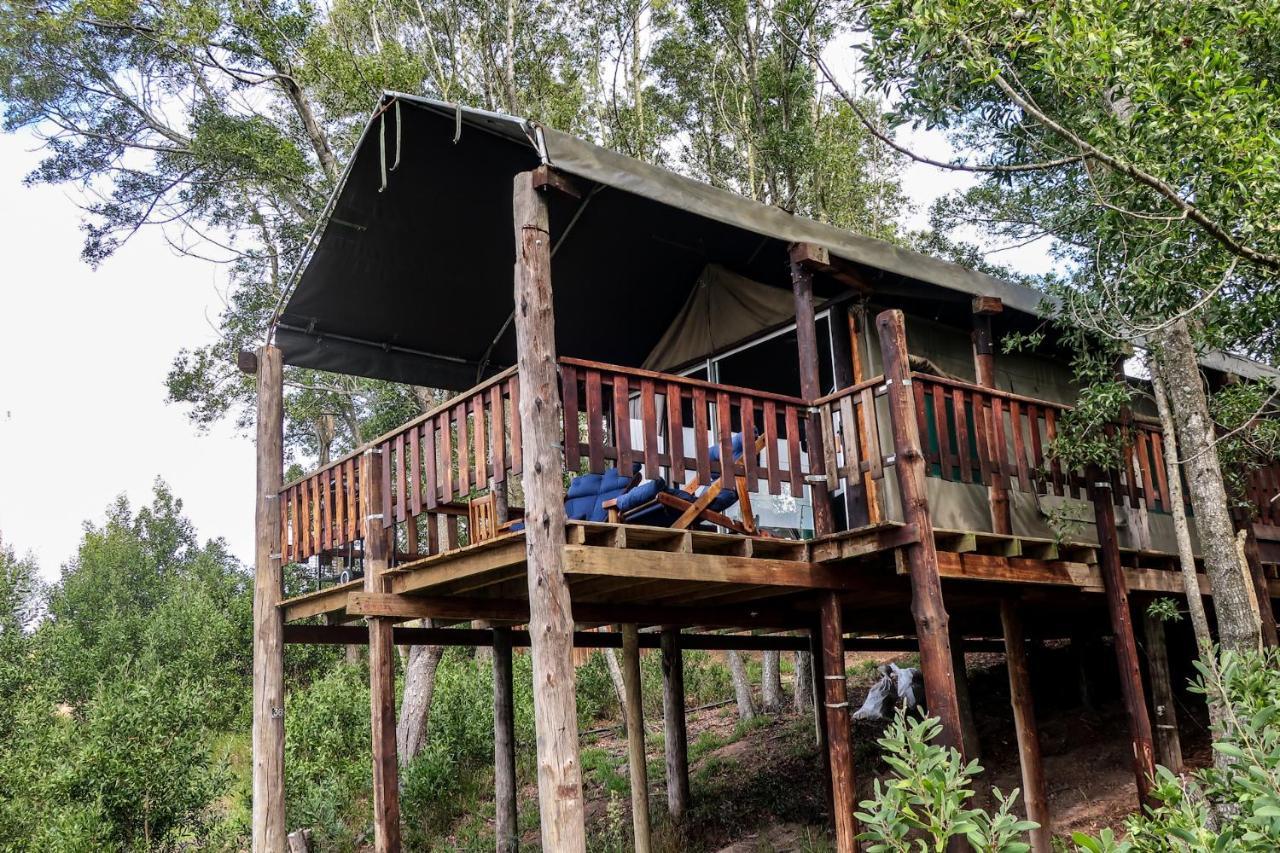 Fernhill Tented Treehouses Rheenendal Экстерьер фото