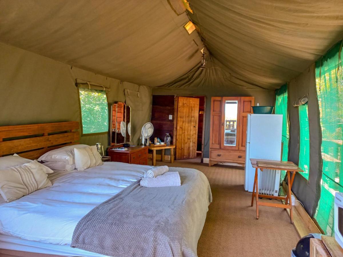 Fernhill Tented Treehouses Rheenendal Экстерьер фото