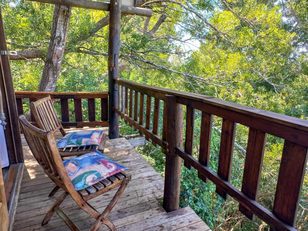 Fernhill Tented Treehouses Rheenendal Экстерьер фото