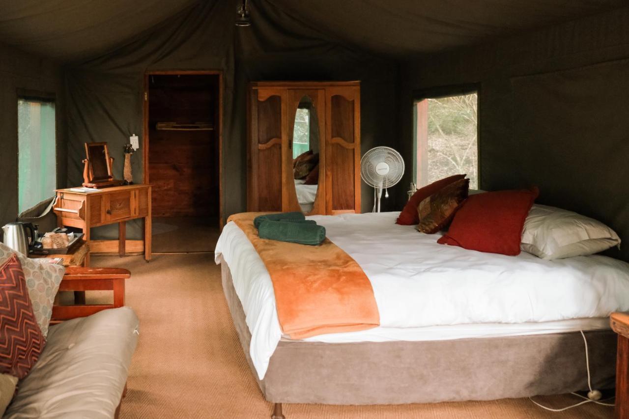 Fernhill Tented Treehouses Rheenendal Экстерьер фото