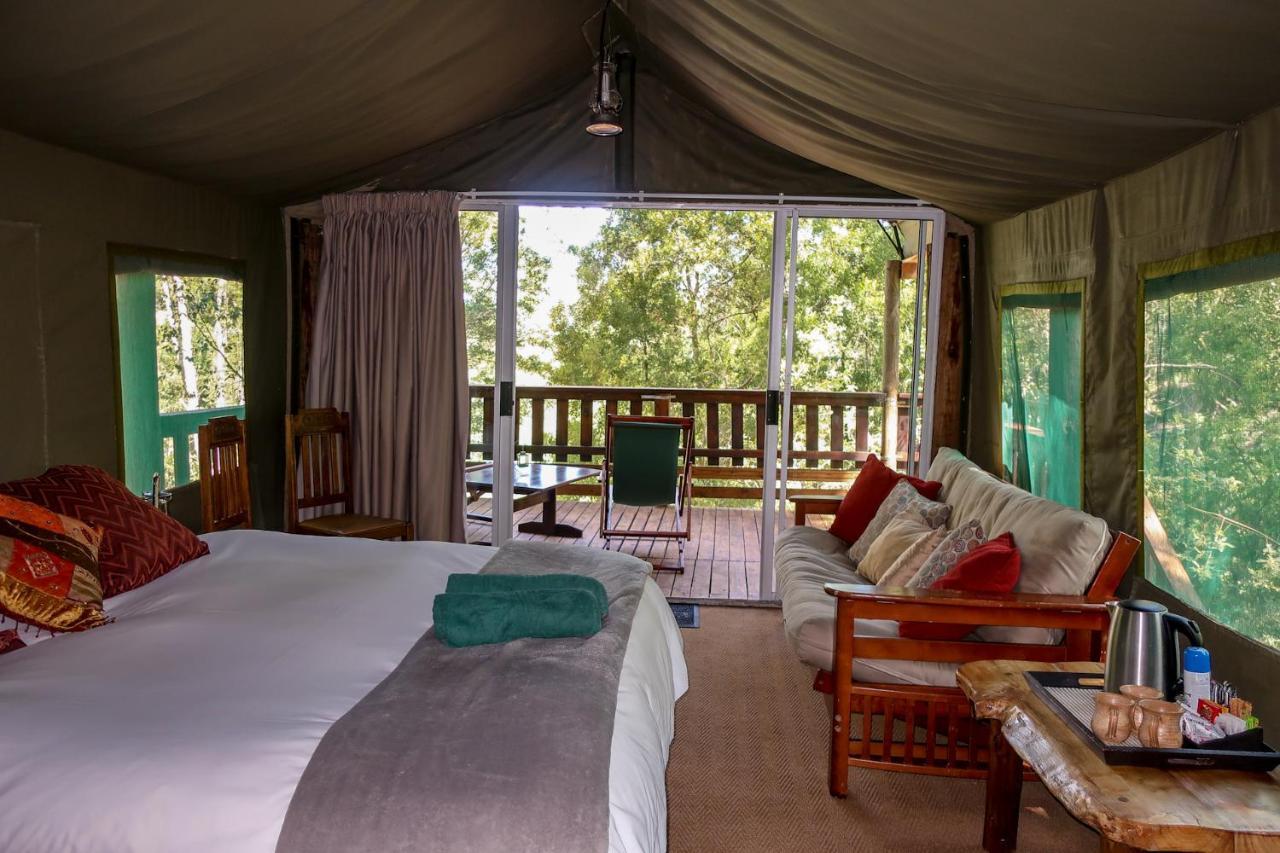 Fernhill Tented Treehouses Rheenendal Экстерьер фото