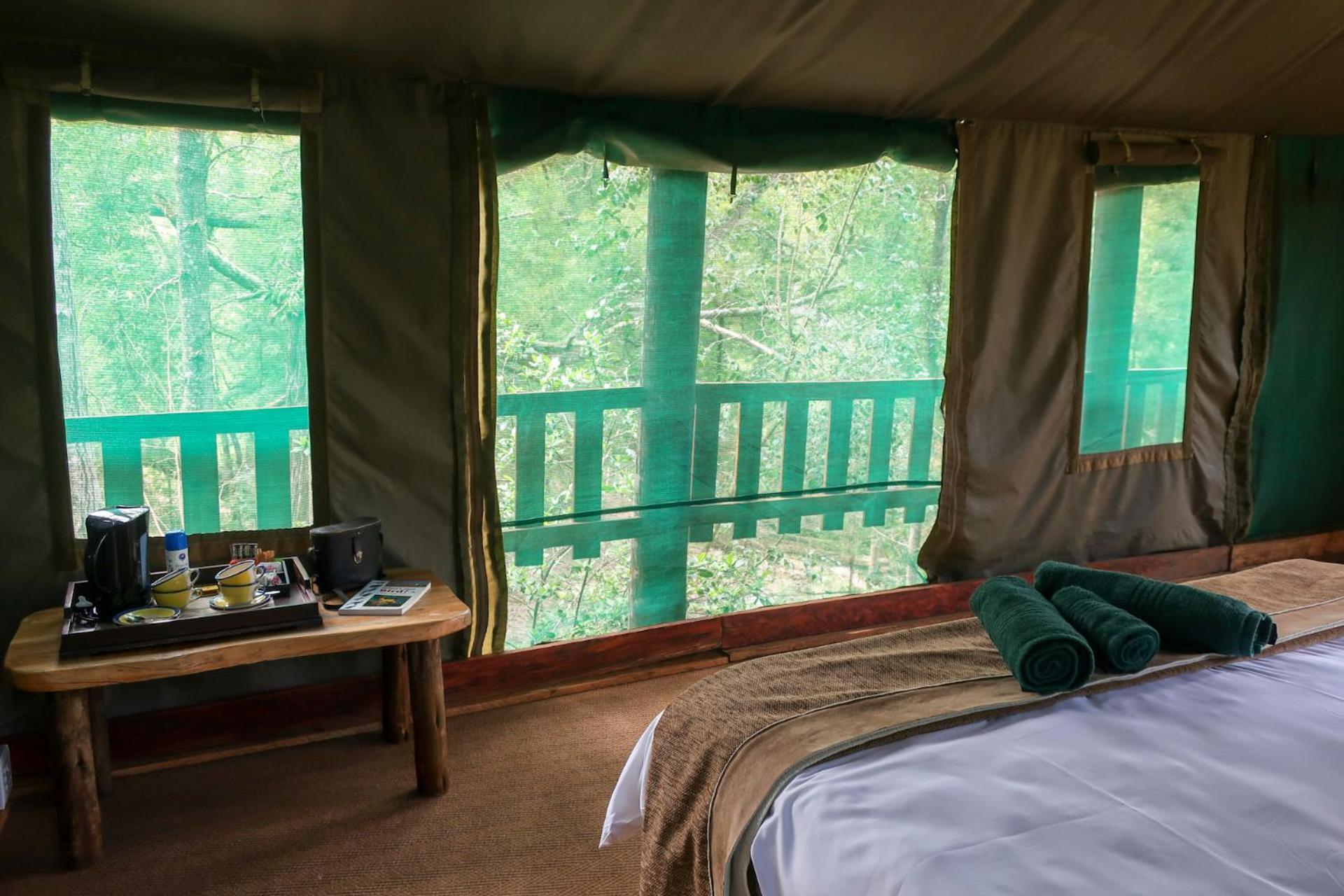 Fernhill Tented Treehouses Rheenendal Номер фото