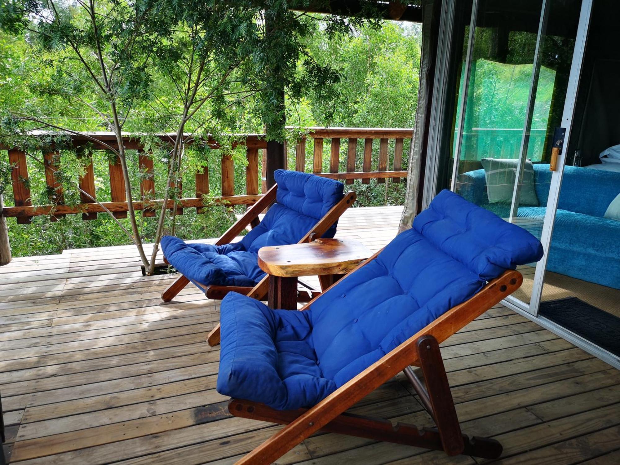 Fernhill Tented Treehouses Rheenendal Номер фото