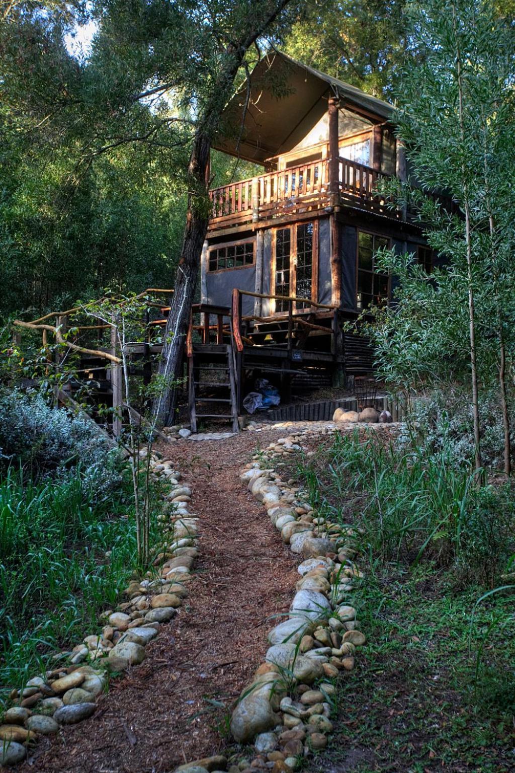 Fernhill Tented Treehouses Rheenendal Номер фото